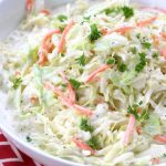 homemade coleslaw salad recipe