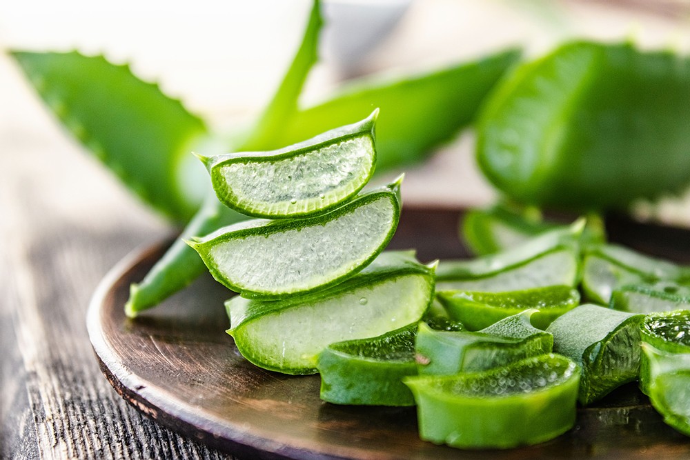 Uses & Benefits Of Aloe Vera Gel For Hairs and Skin and Weight Loss: