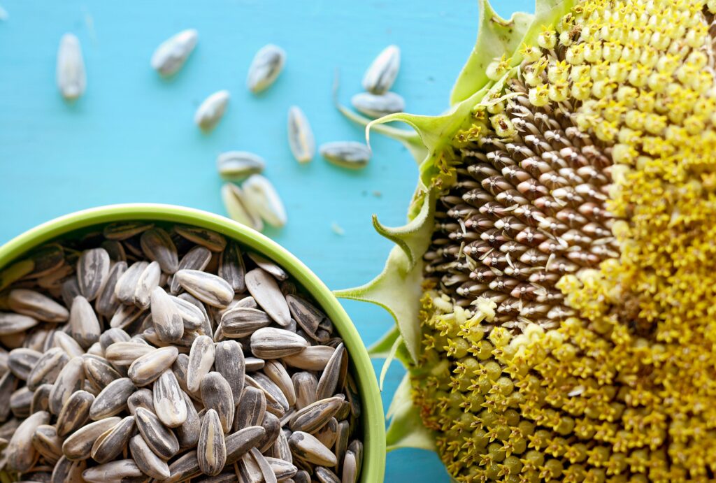 10 Amazing Healthy Benefits Of Sunflower Seeds