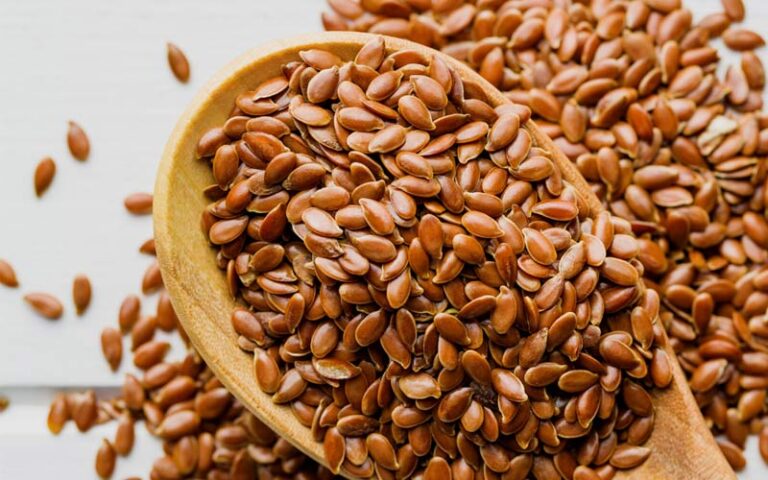 Incredible Benefits and Disadvantages of Flax Seeds Weight loss Tonic