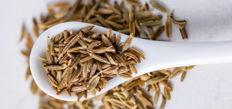 10 Amazing and Powerful Benefits of Cumin Seeds