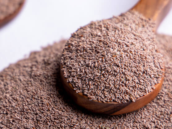 How to Psyllium Husk in Daily Life Routine
