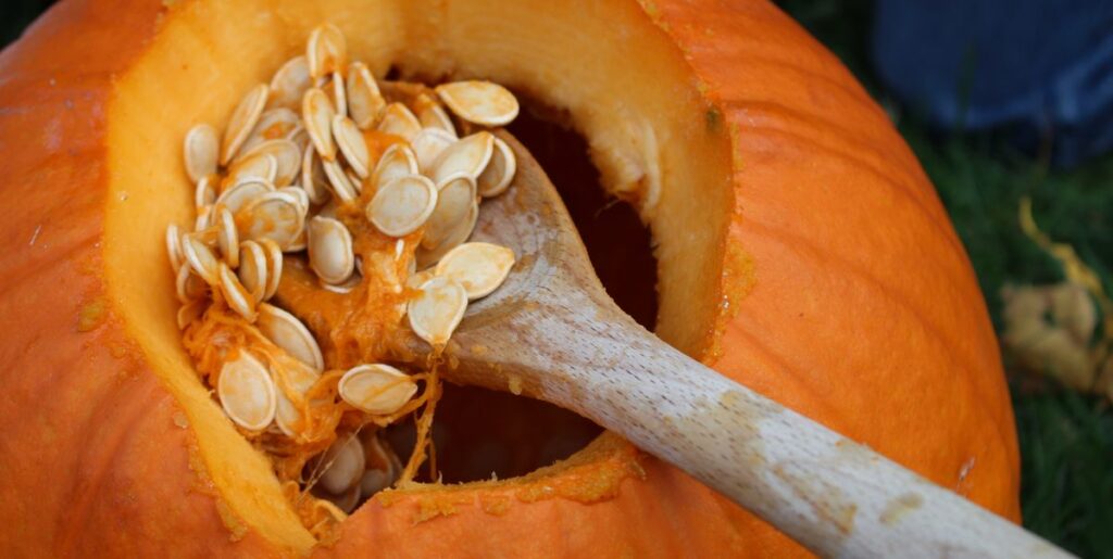 11 Incredible Benefits Of Pumpkin Seeds: (Promote To Hair Growth)