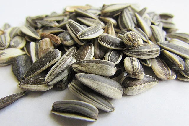 10 Amazing Healthy Benefits Of Sunflower Seeds