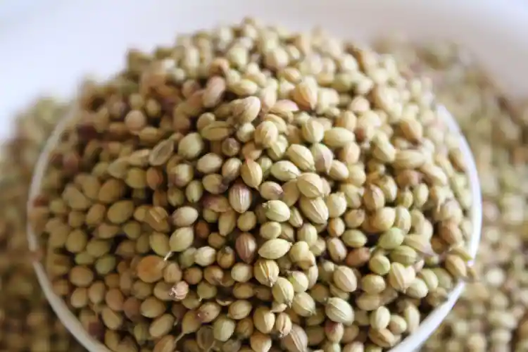 How To Use Coriander Seeds For Skin?